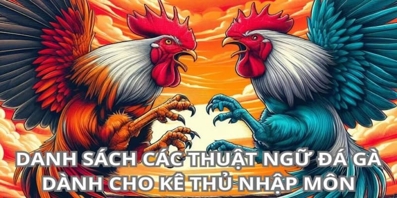 Nắm Rõ Thuật Ngữ Đá Gà - Bí Quyết Chiến Kê Bất Bại 2 Danh sách các thuật ngữ đá gà
