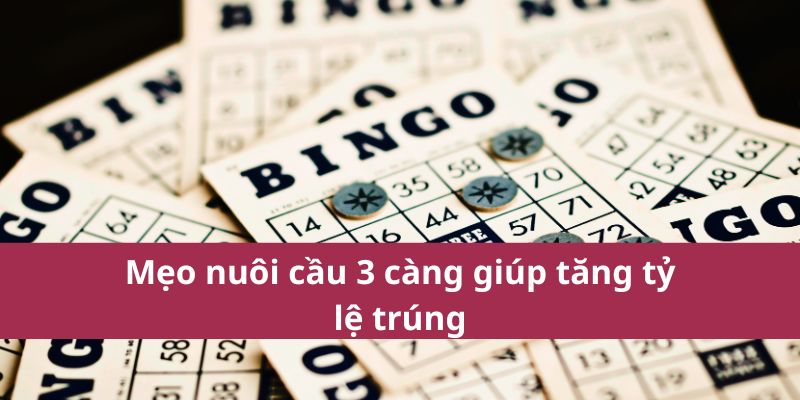 Thống Kê Soi Cầu 3 Càng – Chốt Số Đẹp Nhất Năm 2025 3 Mẹo nuôi cầu 3 càng giúp tăng tỷ lệ trúng